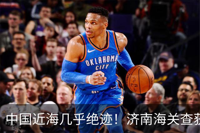 中国近海几乎绝迹！济南海关查获17只手镯，竟是由极危"国宝"制成