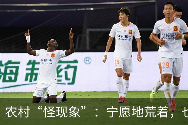 农村“怪现象”：宁愿地荒着，也不种粮食，把专家气够呛，咋回事