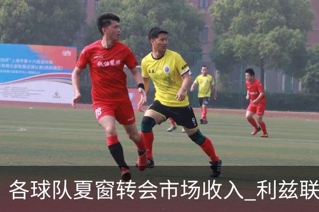 各球队夏窗转会市场收入 利兹联1.629亿高居榜首