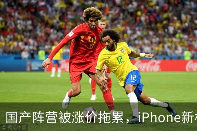 国产阵营被涨价拖累，iPhone新机中国销量增长29%