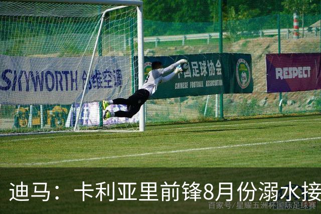 迪马：卡利亚里前锋8月份溺水接受抢救 本轮意甲替补出场制造威胁