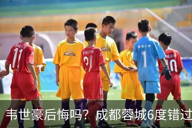 韦世豪后悔吗？成都蓉城6度错过冠军点，若输鲁能，英博将逆袭夺冠