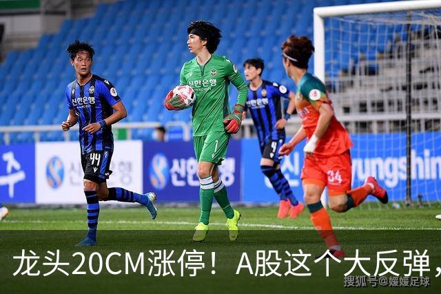 龙头20CM涨停！A股这个大反弹，太提气了！
