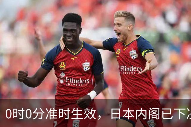 0时0分准时生效，日本内阁已下决心，对中国加税，最高顶格出手