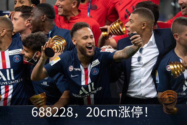 688228，20cm涨停！